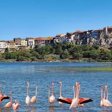 度假居 La Maison Canthez Wifi *