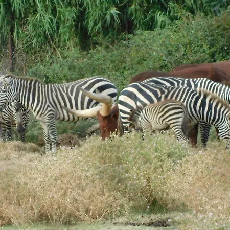 La Maison Canthez Wifi 度假居 西让