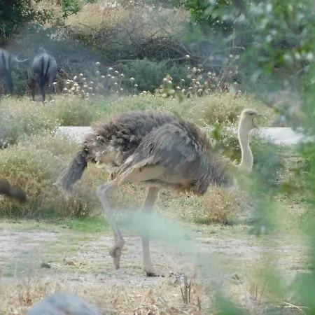 La Maison Canthez Wifi *