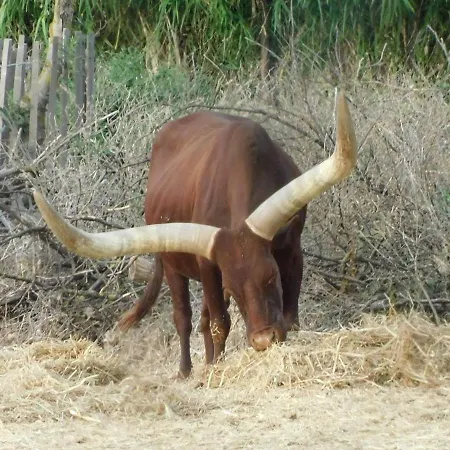 La Maison Canthez Wifi *