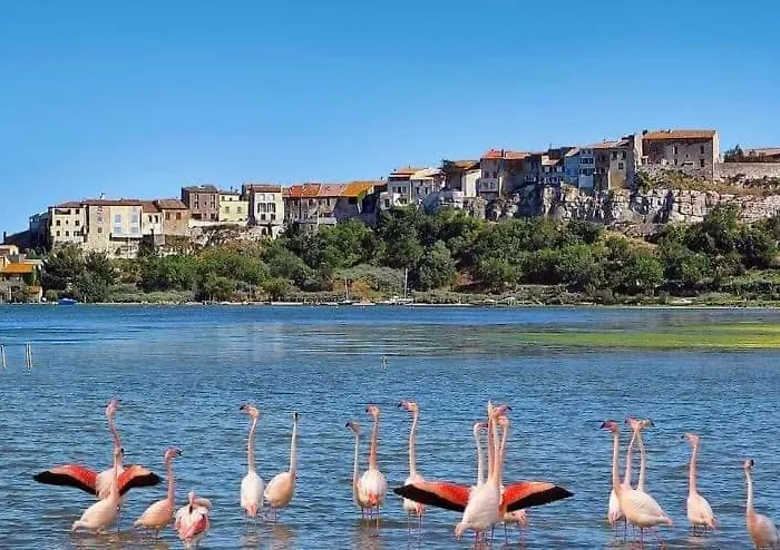 Casa de Férias La Maison Canthez Wifi *