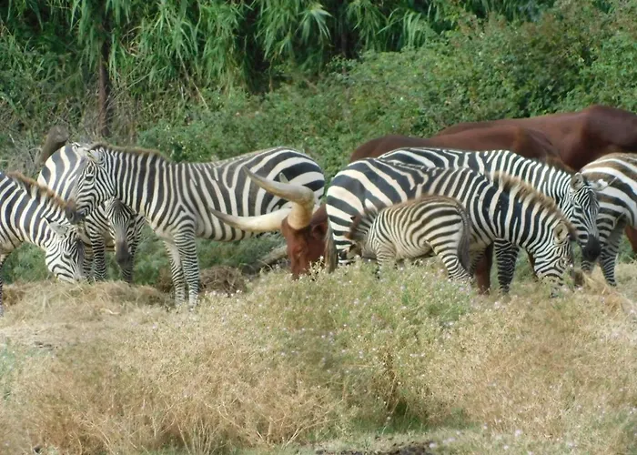La Maison Canthez Wifi Casa de Férias Sigean