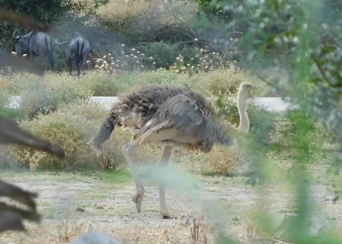 La Maison Canthez Wifi *